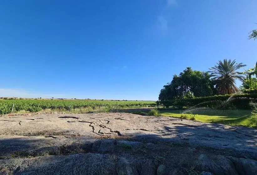 ホテル Bezalel Wine & Brandy Estate
