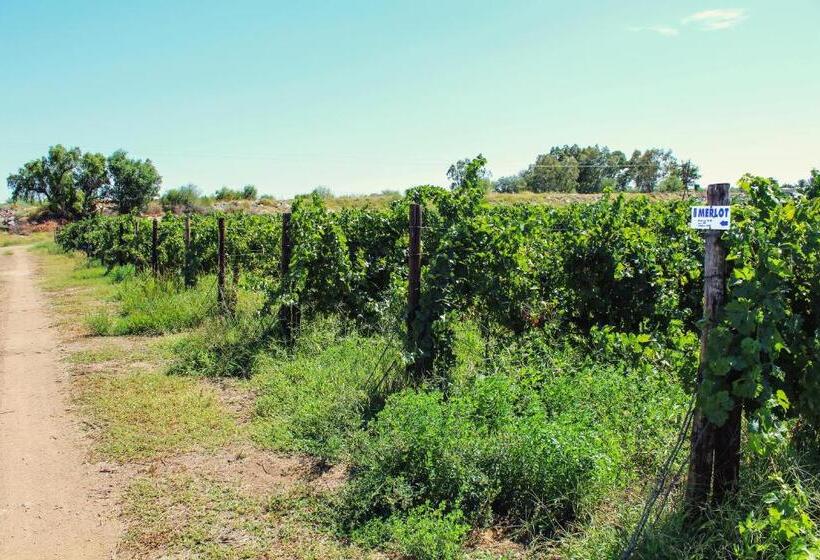 فندق Bezalel Wine & Brandy Estate