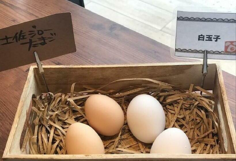 Hotel Sunriver Shimanto / Vacation Stay 71335