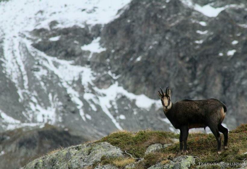 Bed and Breakfast Chambre D Hôte Chez Tourache