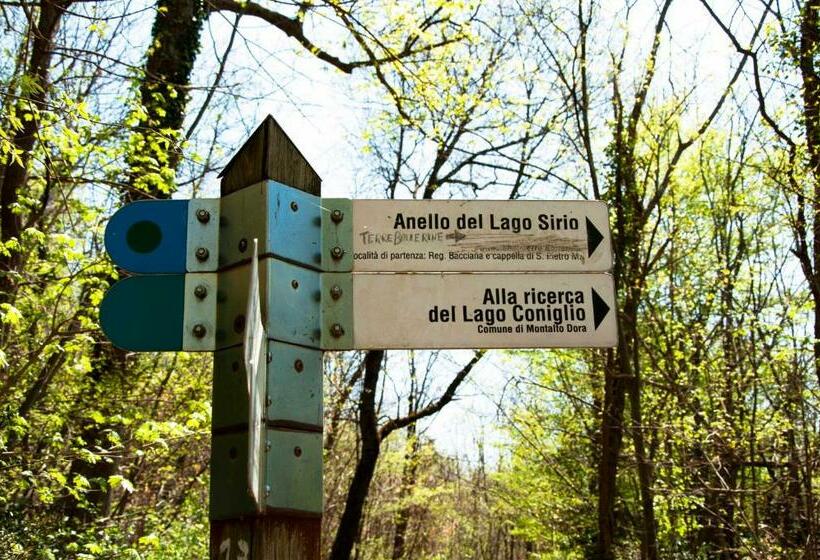 Bed and Breakfast Comunita  Ospitali Bidrino