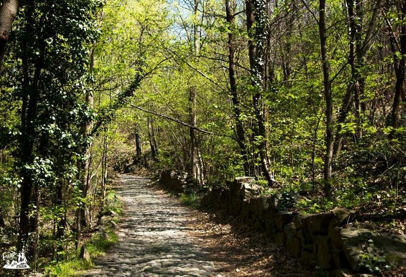 Bed and Breakfast Comunita  Ospitali Bidrino