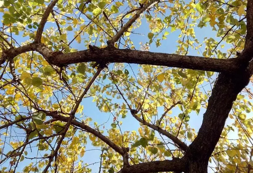 Patrick&pierre Bed And Breakfast Nîmes