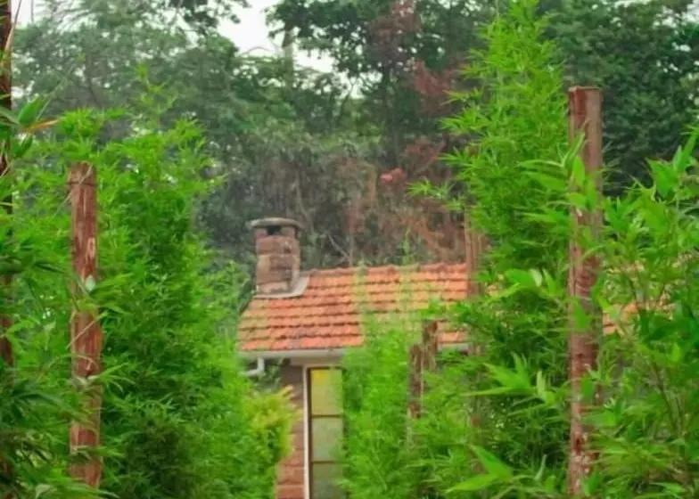 Pension Celio Jardine Lavington