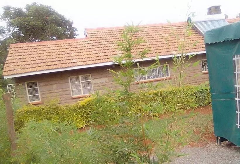 Pension Celio Jardine Lavington