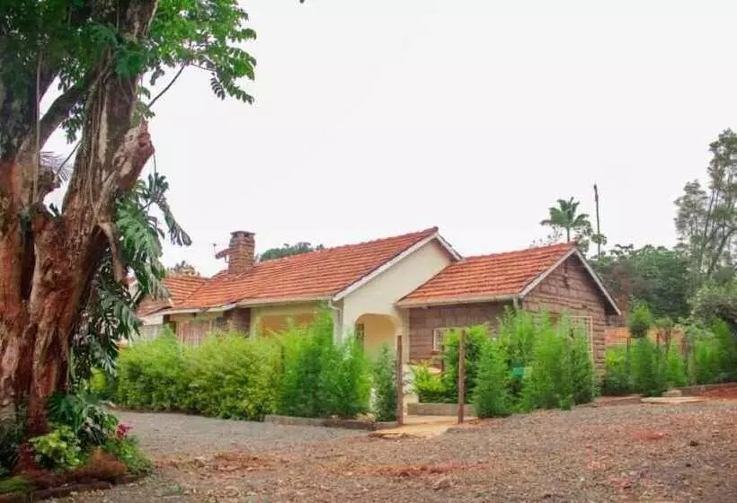 Pension Celio Jardine Lavington