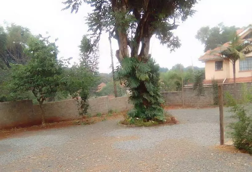 Pension Celio Jardine Lavington