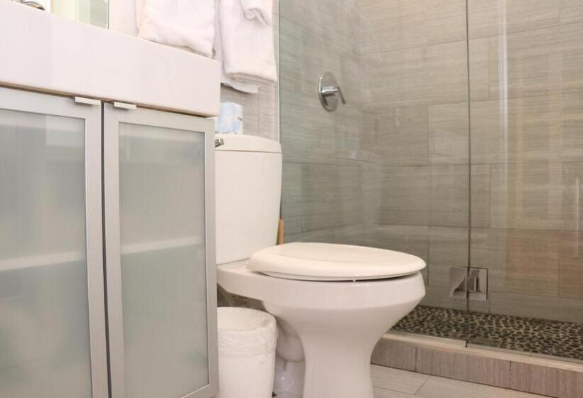 Downtown Beacon Hill, Convenient, Comfy Studio #10