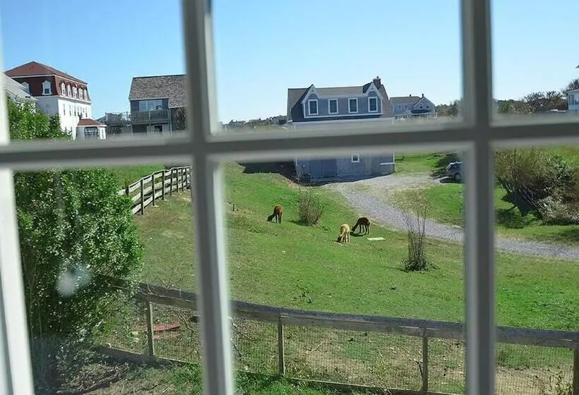 Hotelli The Inn At Spring House