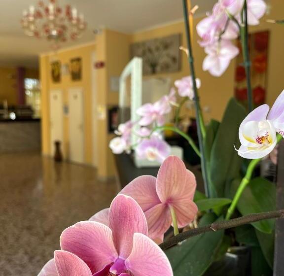 בית מלון כפרי Astor