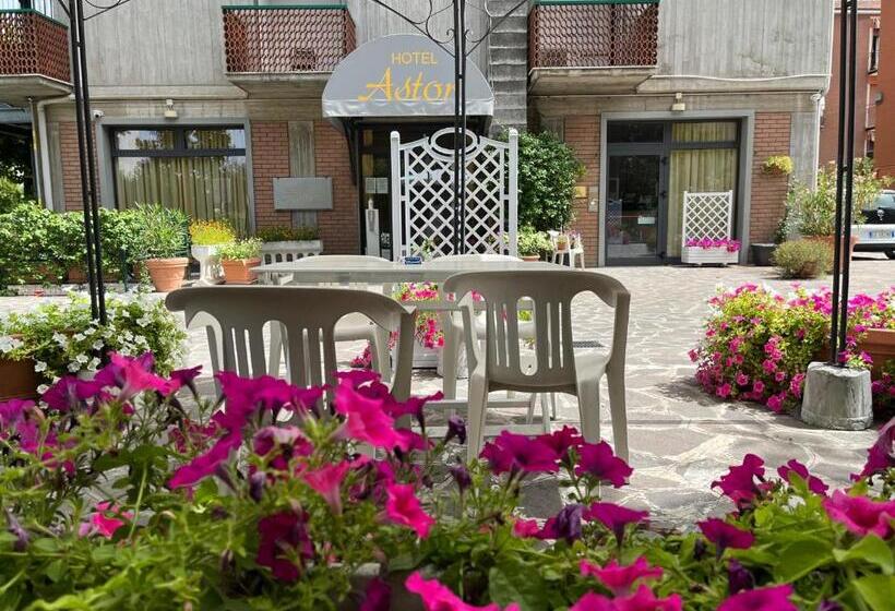 בית מלון כפרי Astor