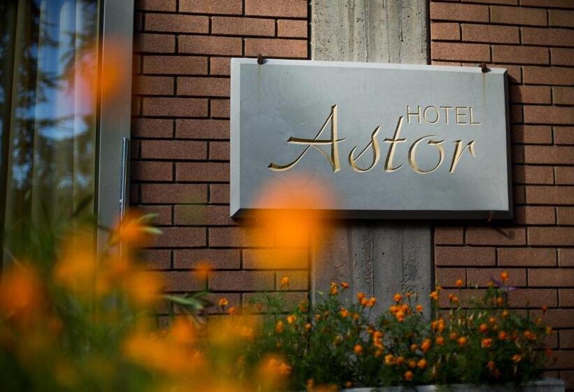 בית מלון כפרי Astor