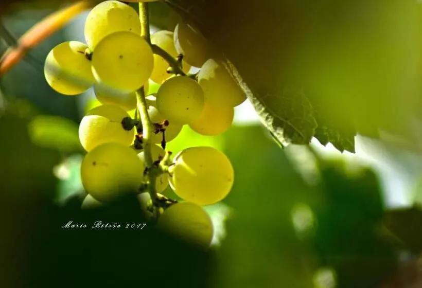 هتل Cateski Dvorec