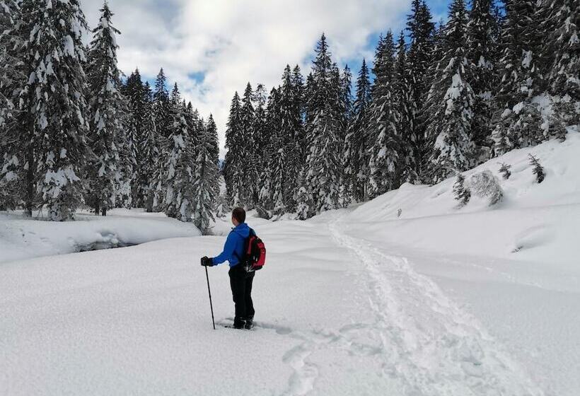 فندق Garni Sottobosco