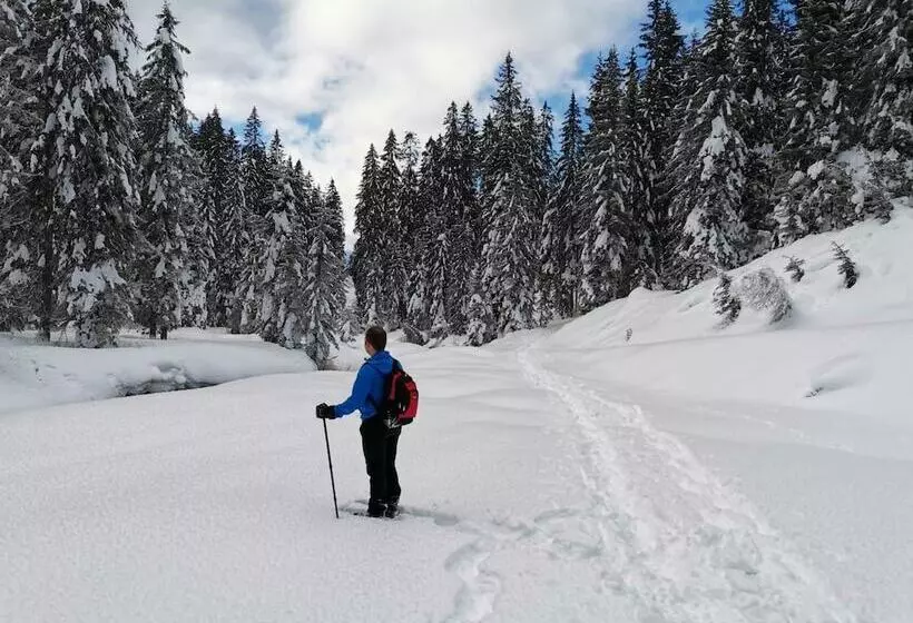 Отель Garni Sottobosco