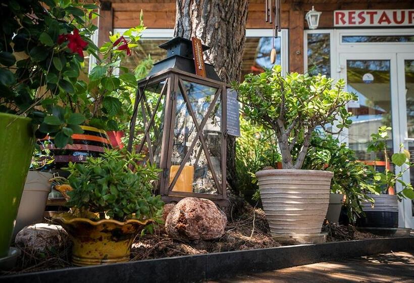 فندق Logis Hôtel Le Rialto