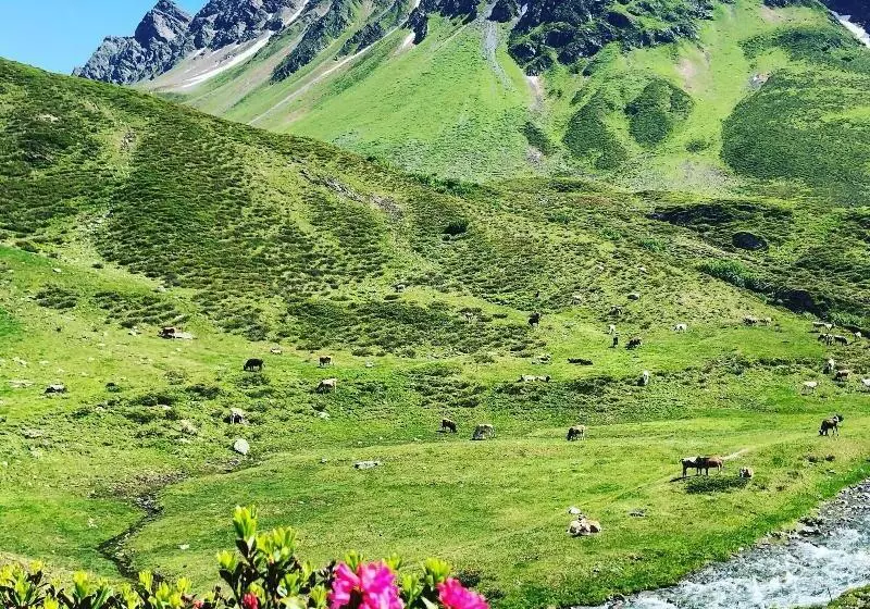 Отель Sportlodge Klosters