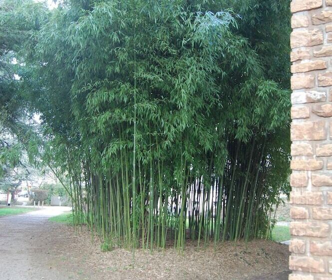 호텔 Hôtel Valpré