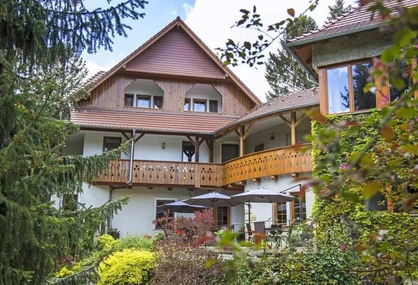 Hotel Willa Zameczek