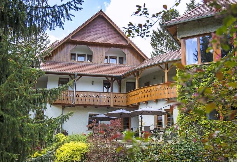 هتل Willa Zameczek