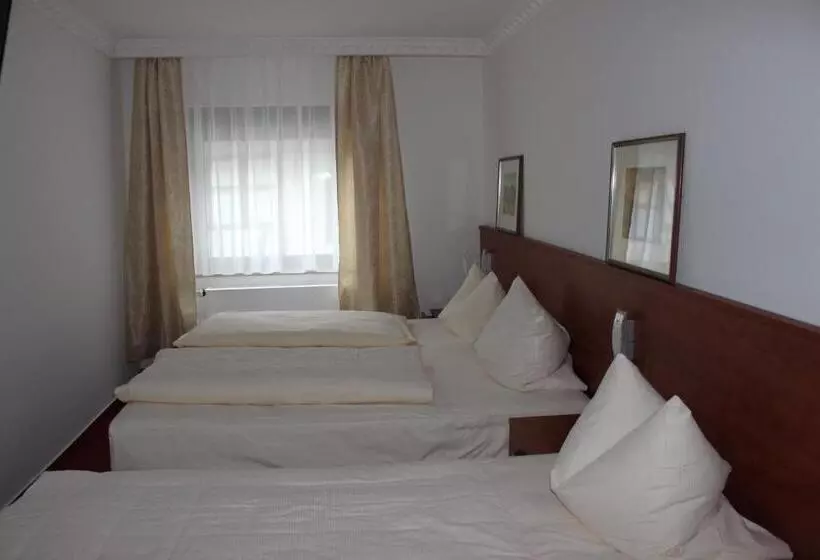 בית מלון כפרי Zu Den Burgen