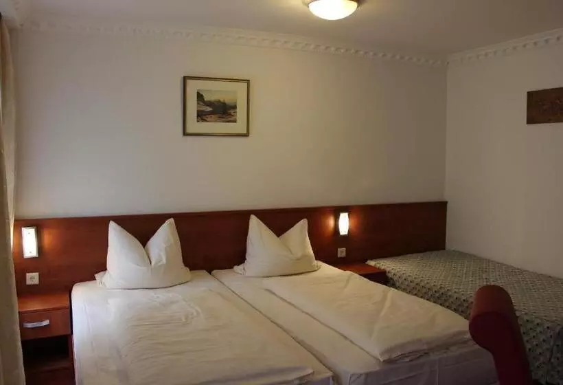 ホテル Zu Den Burgen