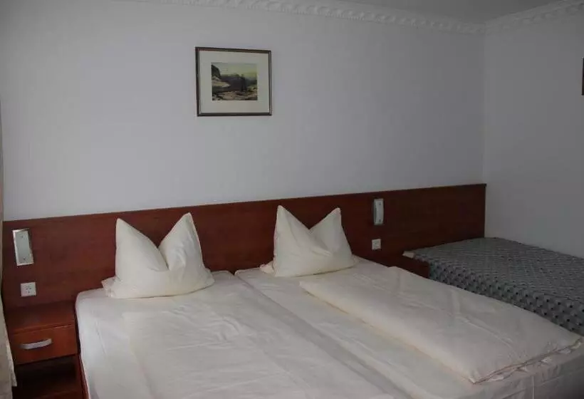 ホテル Zu Den Burgen