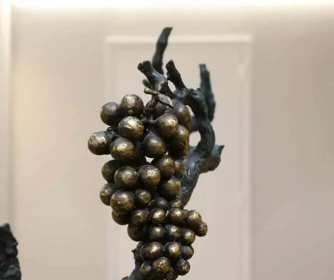 Logis Hotel Des Cépages