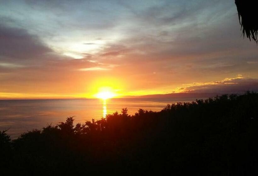 هاستل Cliff Garden