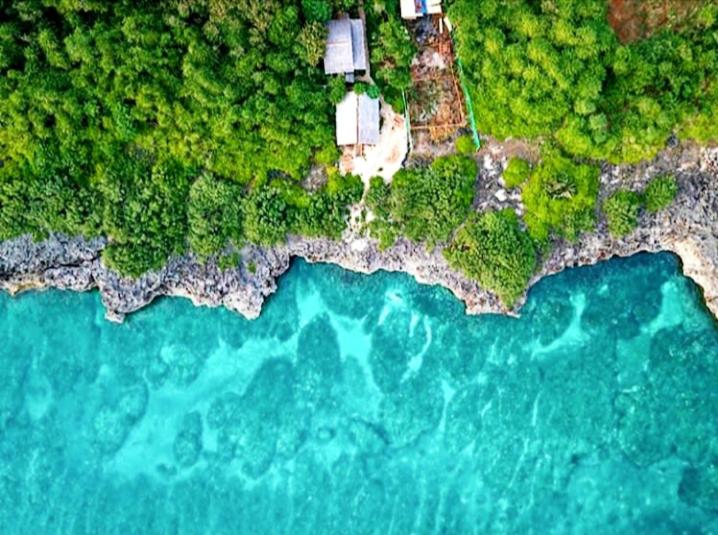 هاستل Cliff Garden