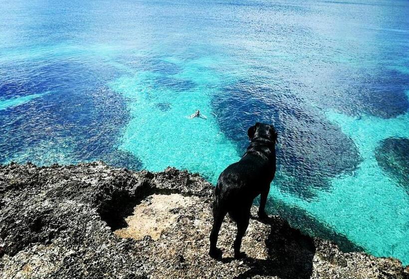 هاستل Cliff Garden