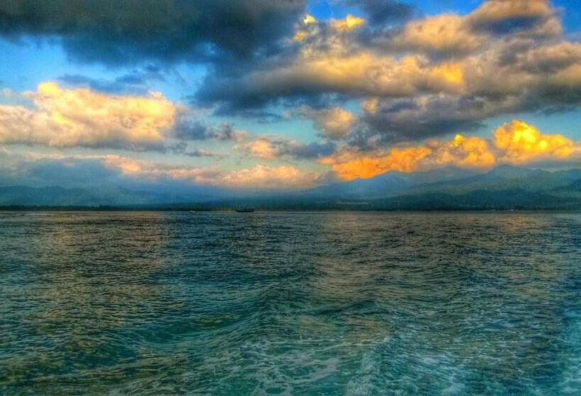 Отель Bronze Bungalows