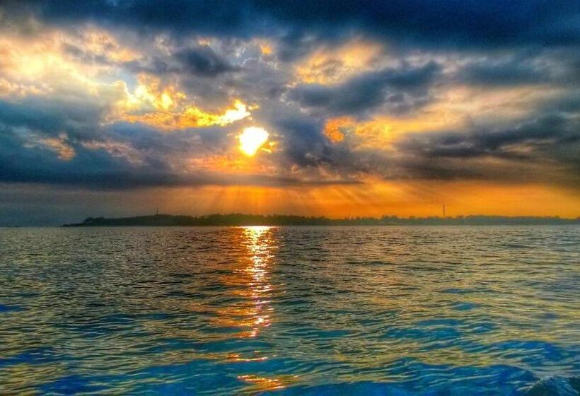 Отель Bronze Bungalows