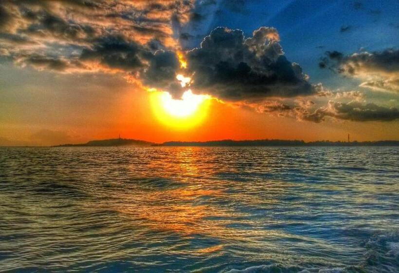 Отель Bronze Bungalows