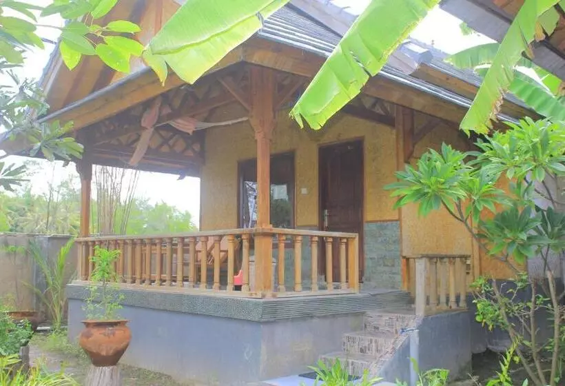 Hotelli Bronze Bungalows