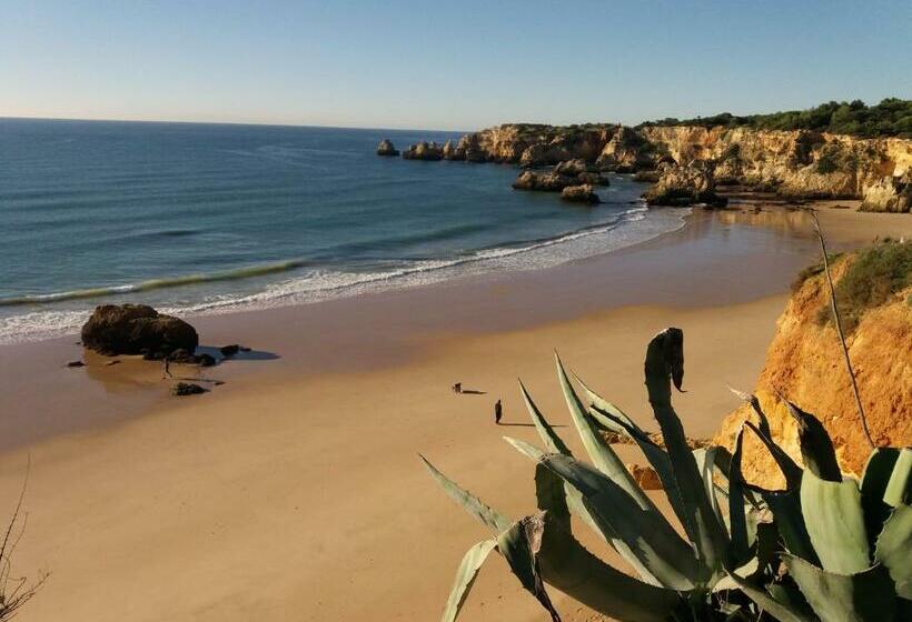 تختخواب و صبحانه Villa Alcaide