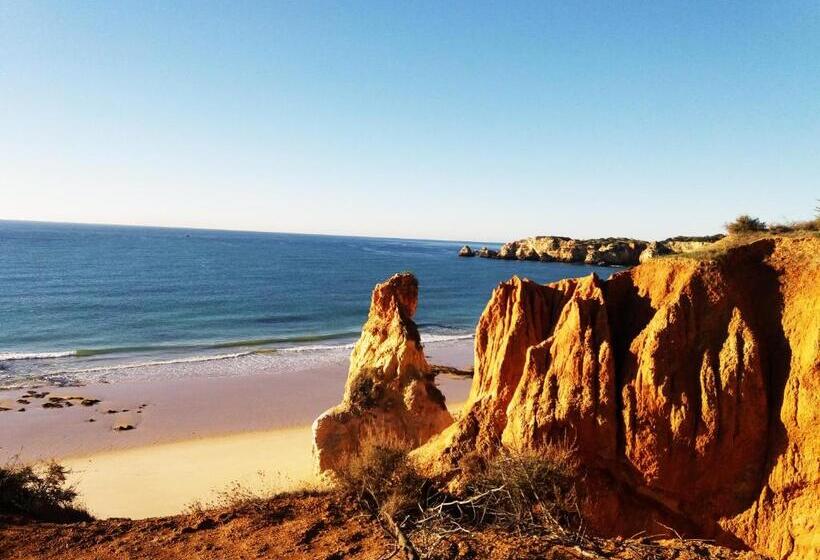 تختخواب و صبحانه Villa Alcaide