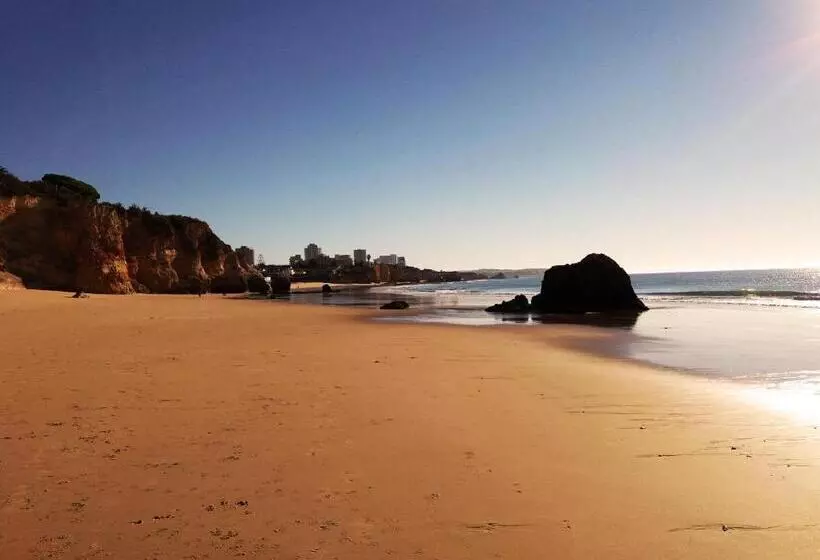 تختخواب و صبحانه Villa Alcaide