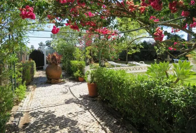 تختخواب و صبحانه Villa Alcaide