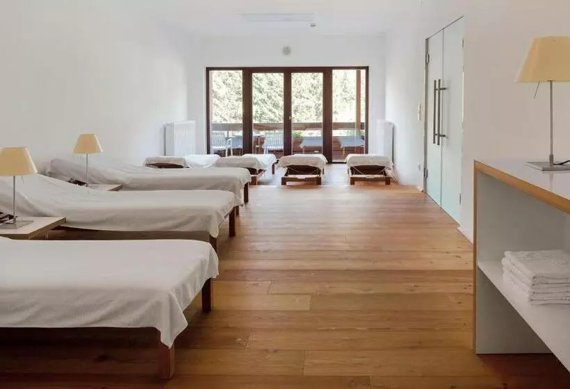 Aparthotel Chalet Wetzlgut