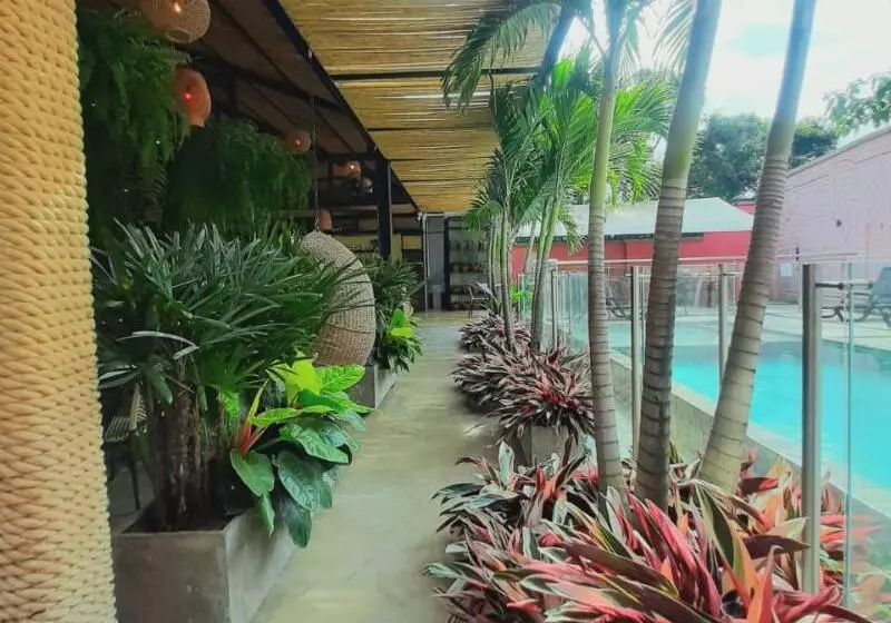 ユースホステル Rossa Palma