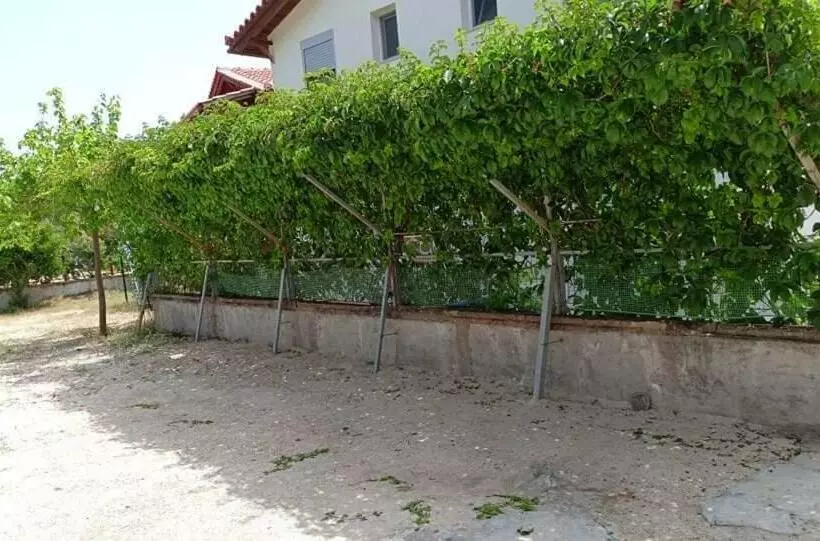پانسیون Garden Rooms