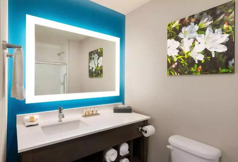 Hotelli La Quinta By Wyndham Gainesville