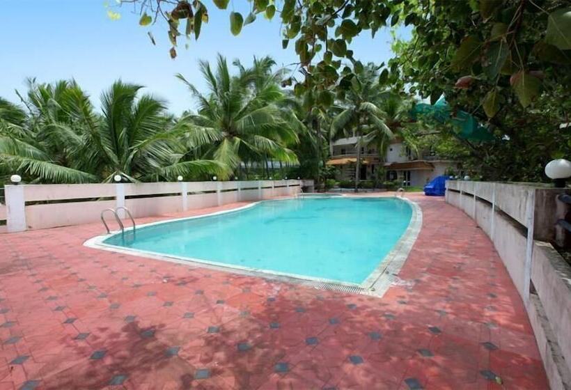 בית מלון כפרי Park International