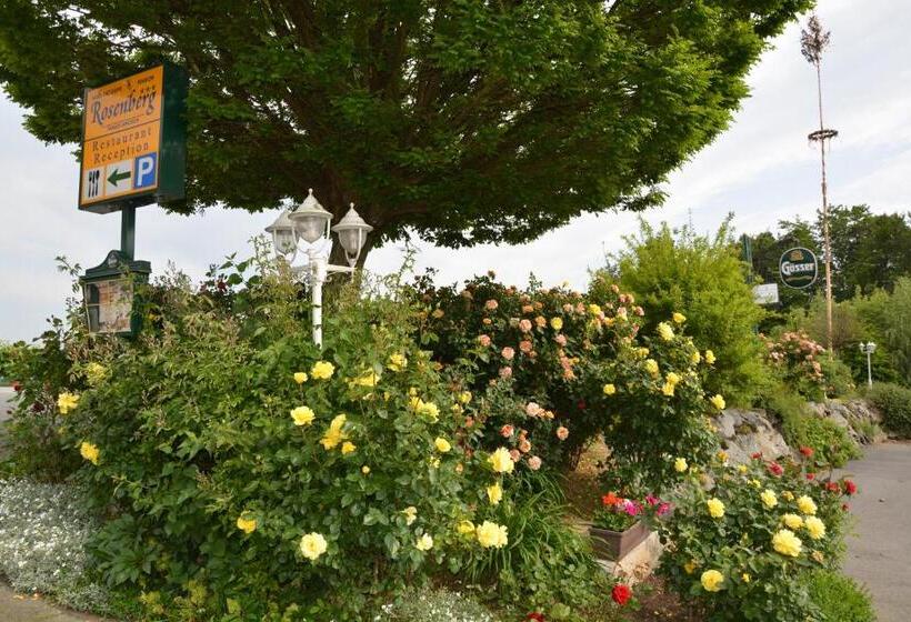 Отель Rosenberg