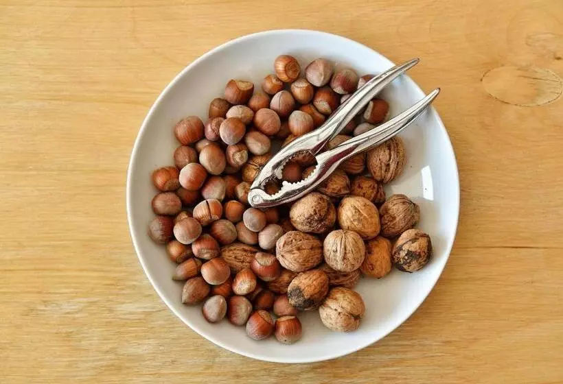 Boutique Hotel Artemisia