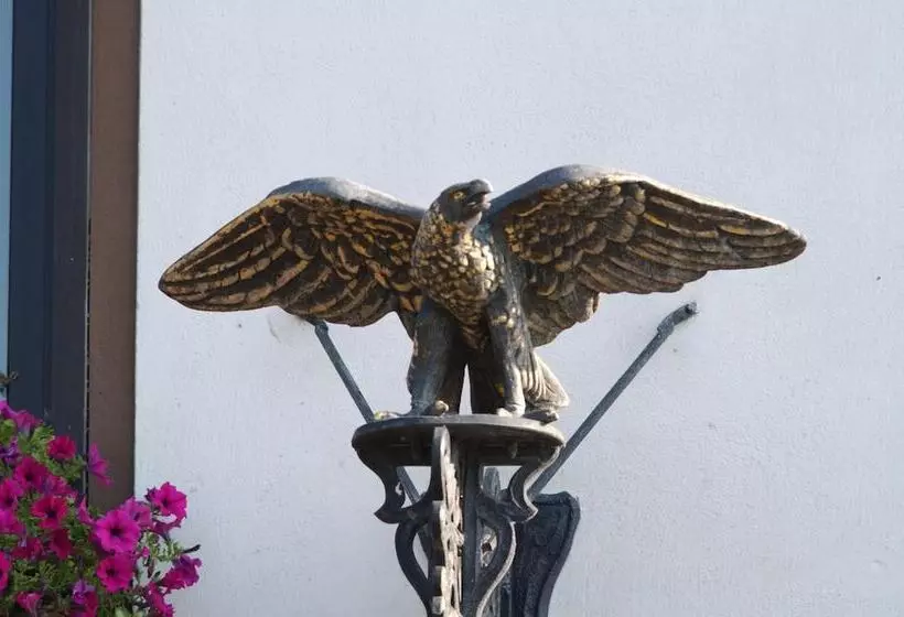 Отель Adler Golf& Tagungs