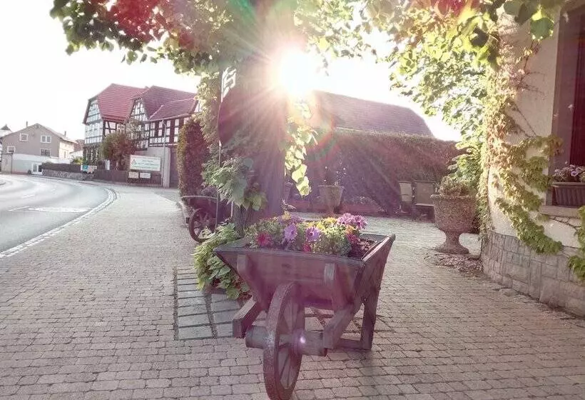 Отель Adler Golf& Tagungs