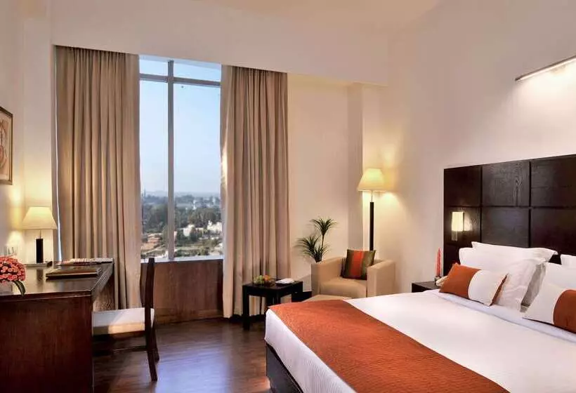 ホテル Comfort Inn Tulip Heights