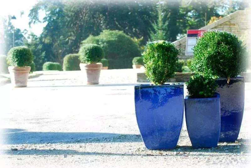 בית מלון כפרי Domaine De La Ferrière